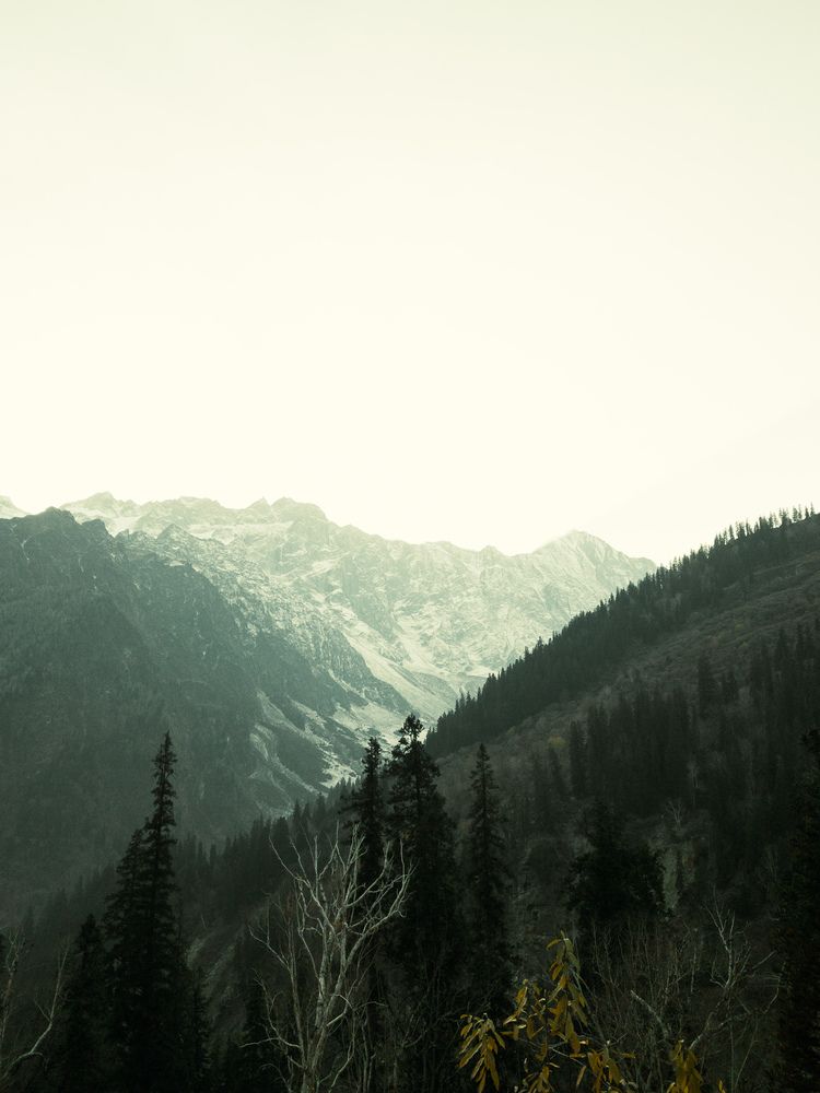 Manali Skyscraper
