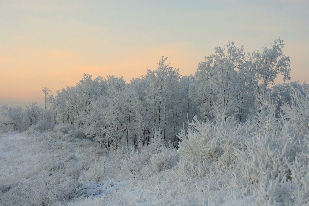 Фотография автора Татьяна Шебаршенко