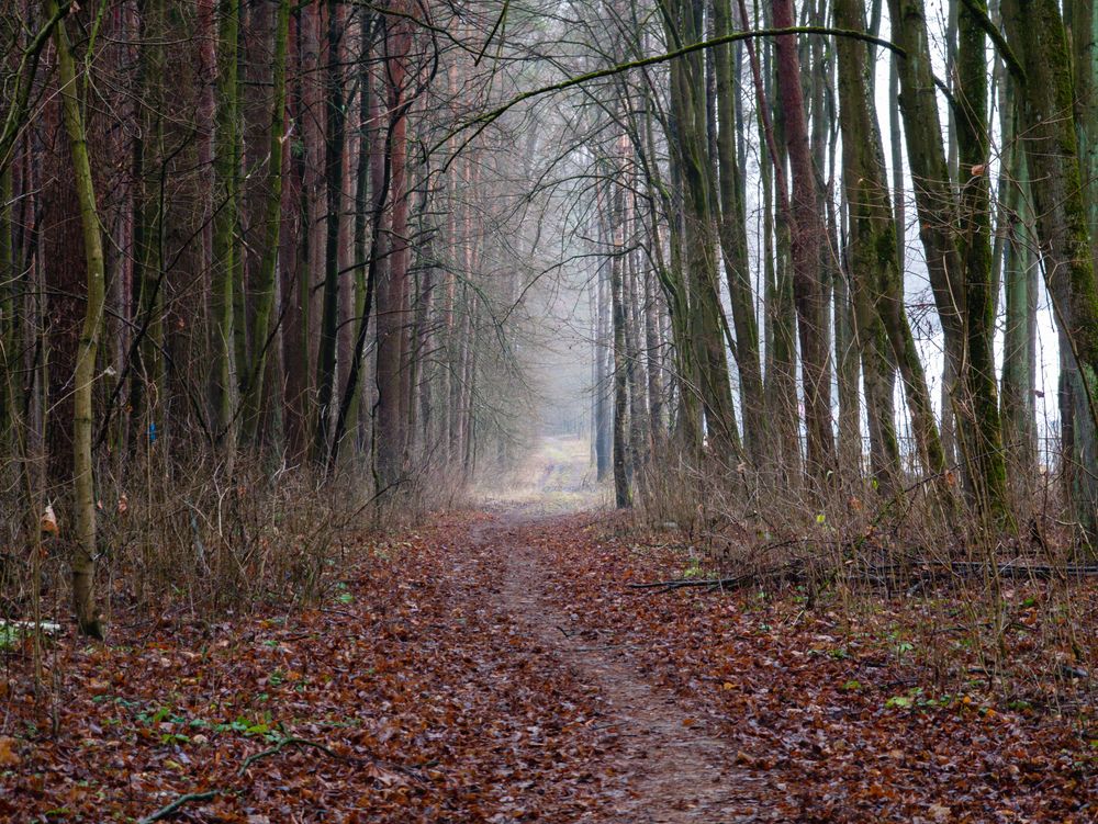 Photograph by Vitaliy