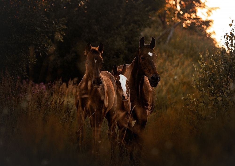 Photograph by Марина