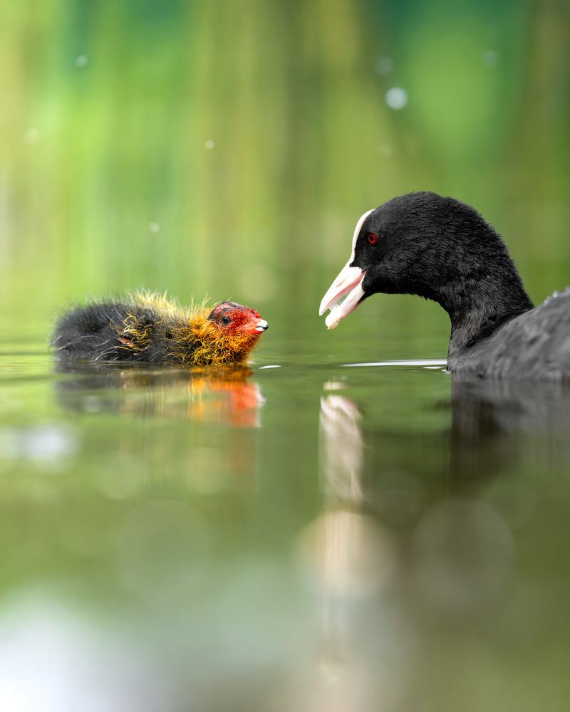 Photograph by Damian Kozik