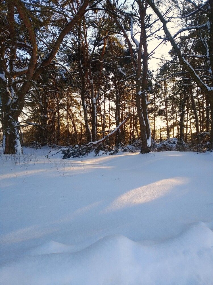 Photograph by Ия Дирко