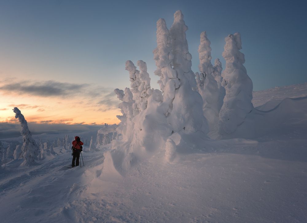 Застывшие великаны