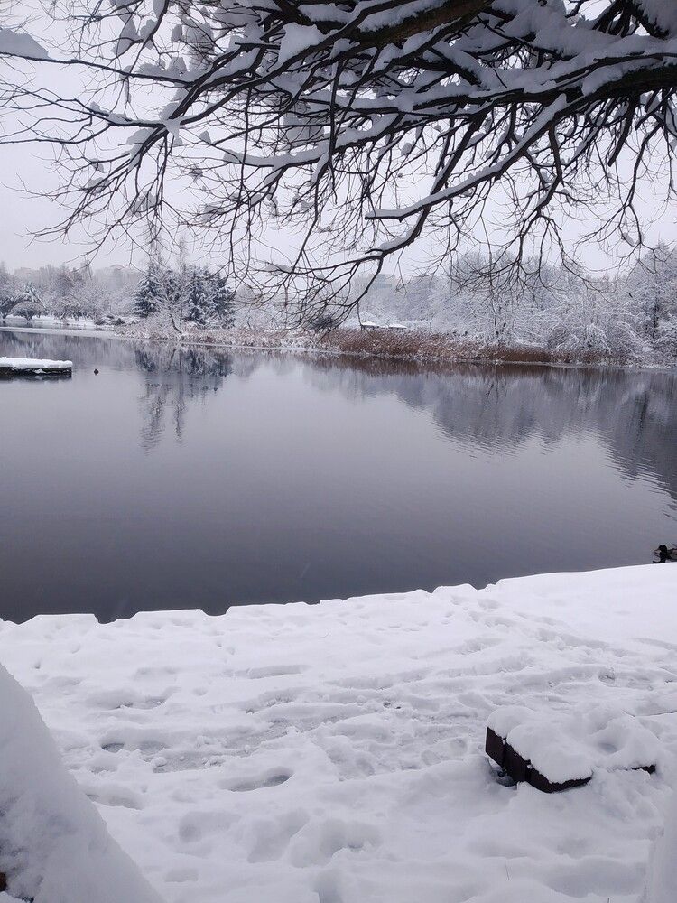 Photograph by Ия Дирко