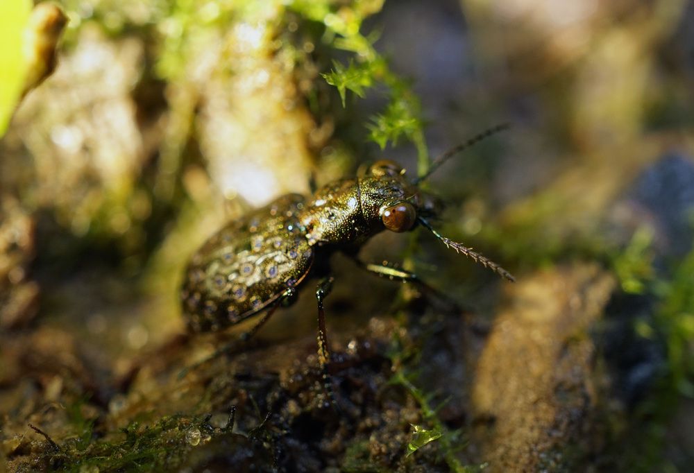 Photograph by Лена Максимкина