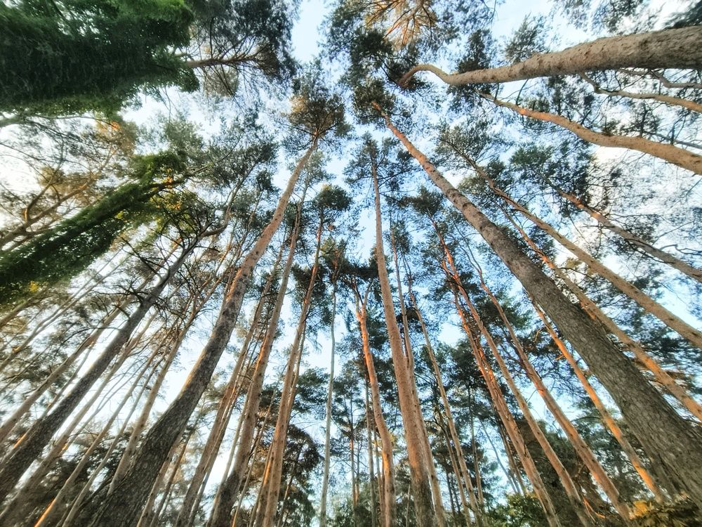 Photograph by Halina Basyanok