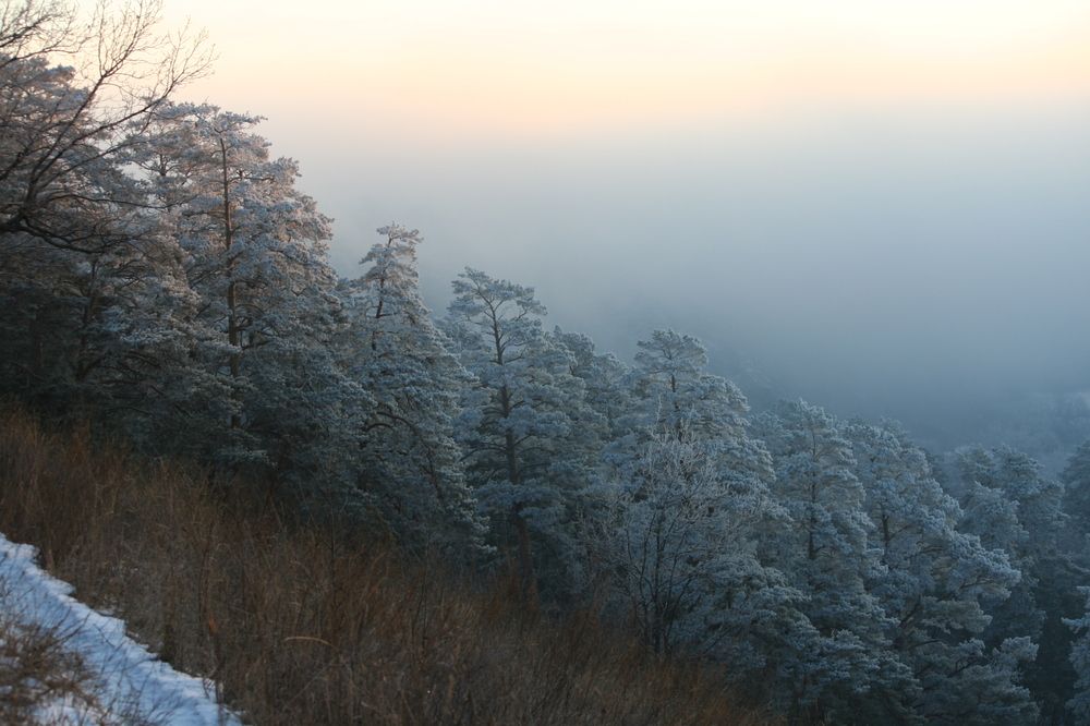 Фотография автора Татьяна Шебаршенко