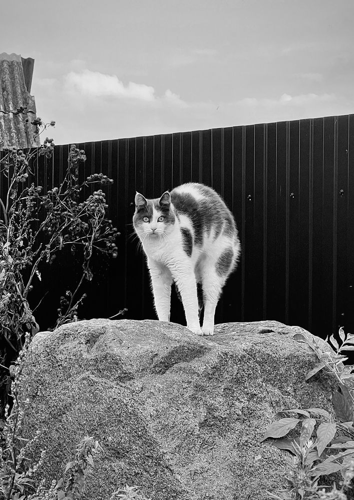 Photograph by Олеся Королева