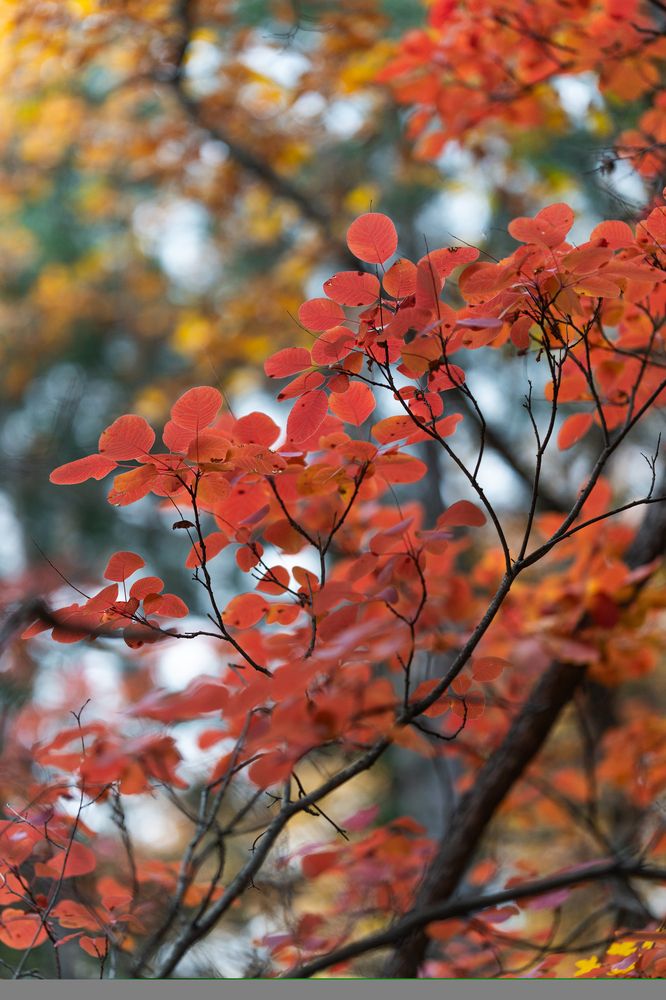 Photograph by Артём Гуцалюк