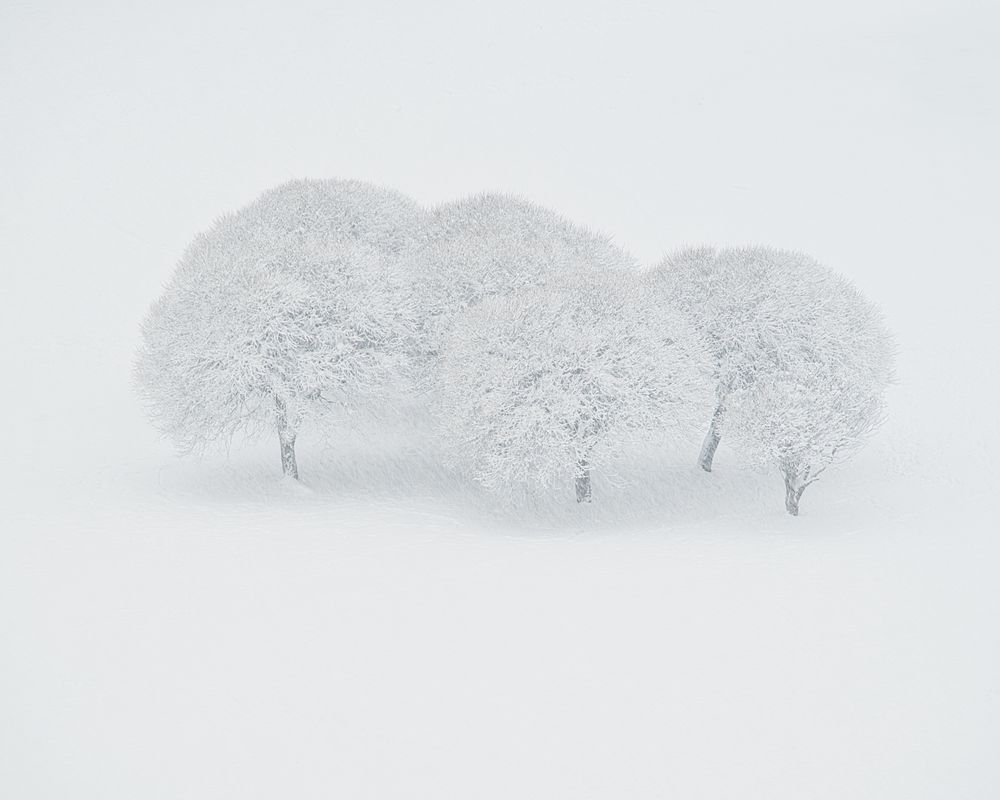 Photograph by Евгения Прокопович