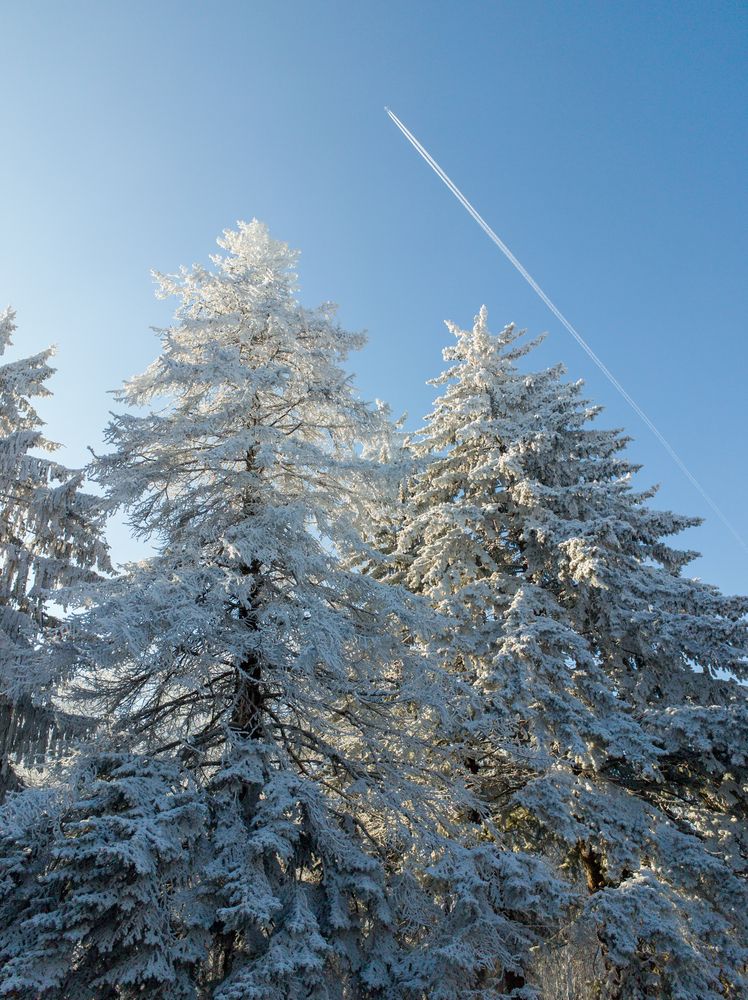 Photograph by Igor M.