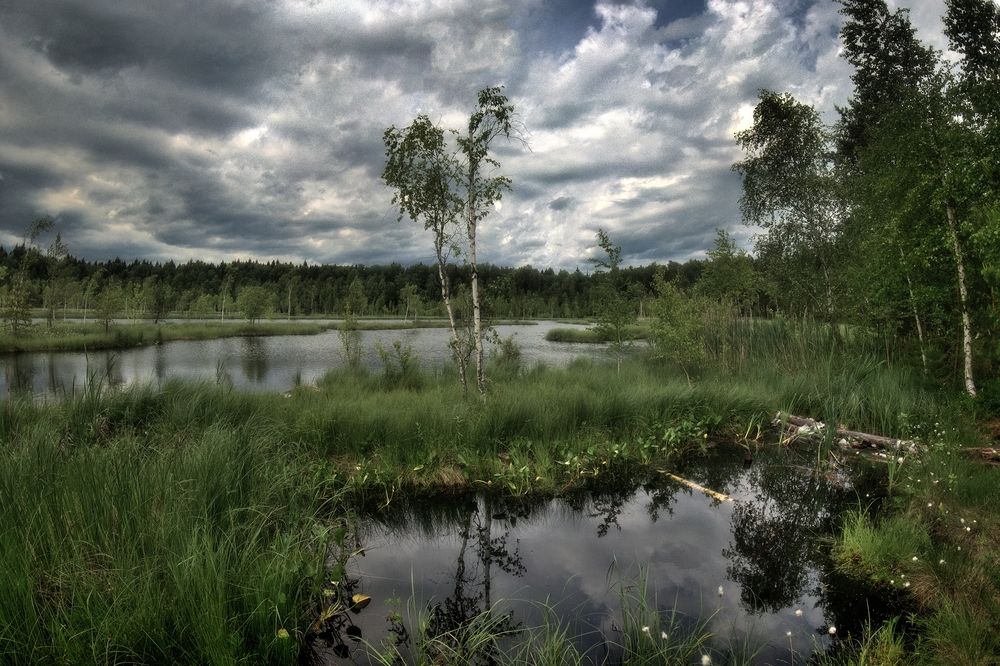 Photograph by Алексей Никонов