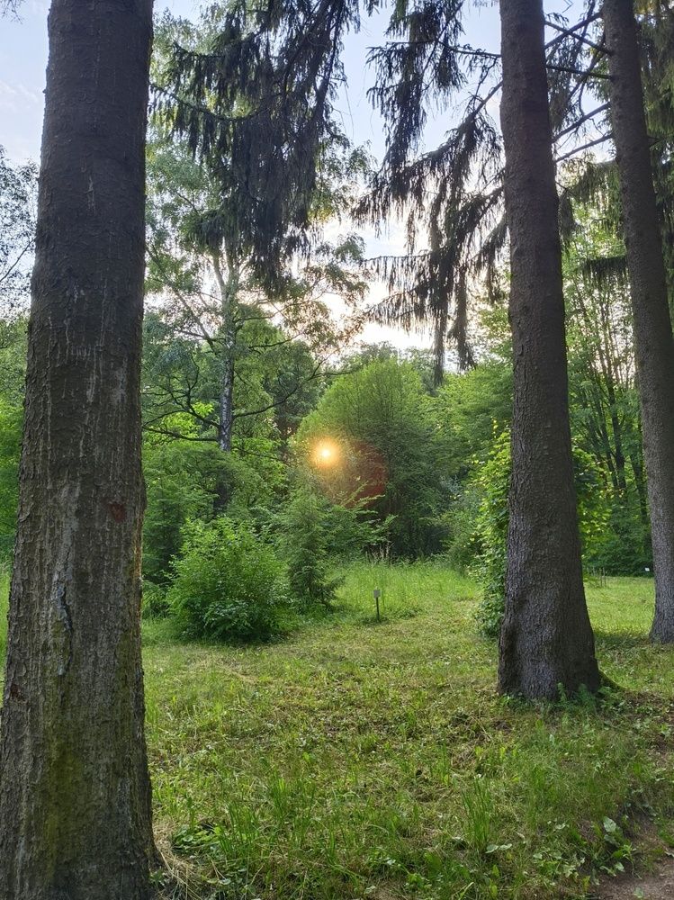 Photograph by Halina Basyanok