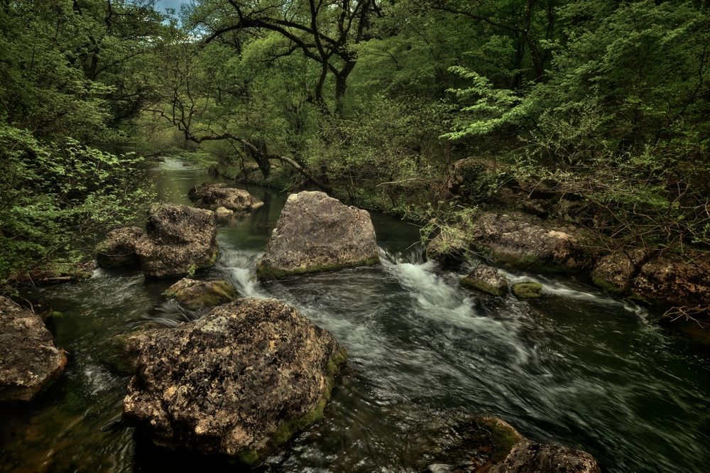 Photograph by Алексей Никонов