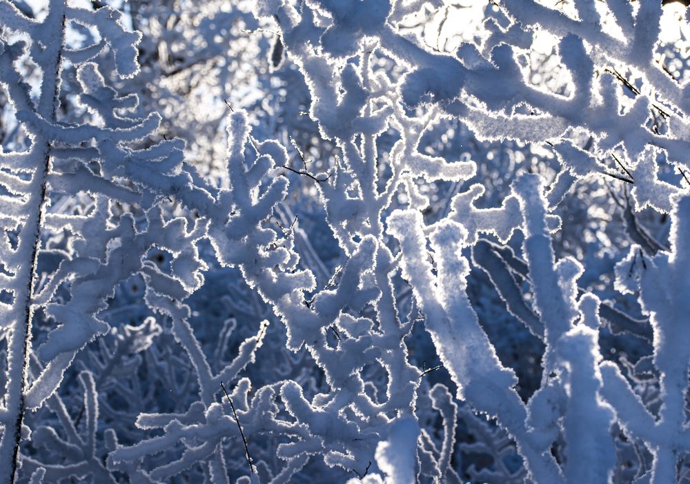 Photograph by Урасов Олег