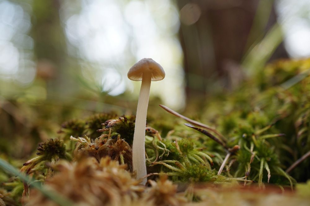 Photograph by Лена Максимкина