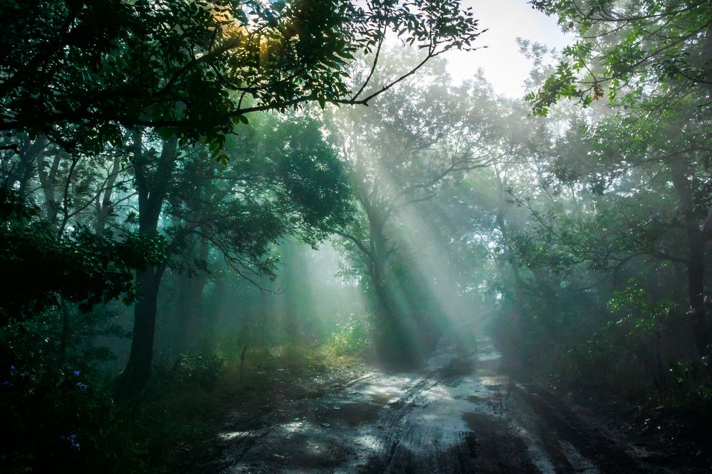 Photograph by Валерий