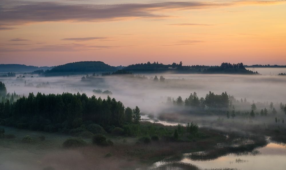 Photograph by Roman Dmitriev