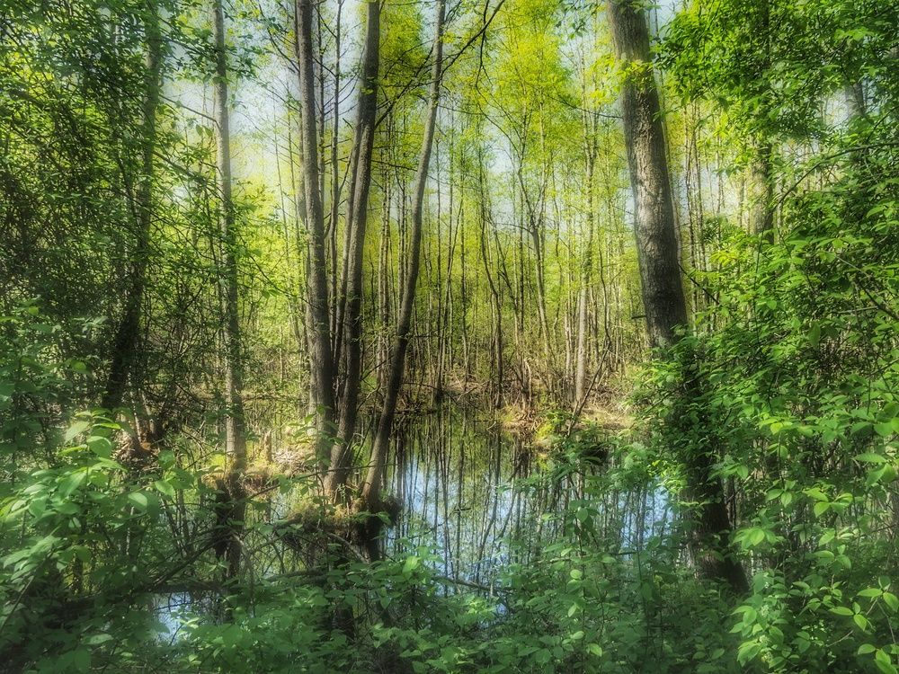 Photograph by Наталия Романова