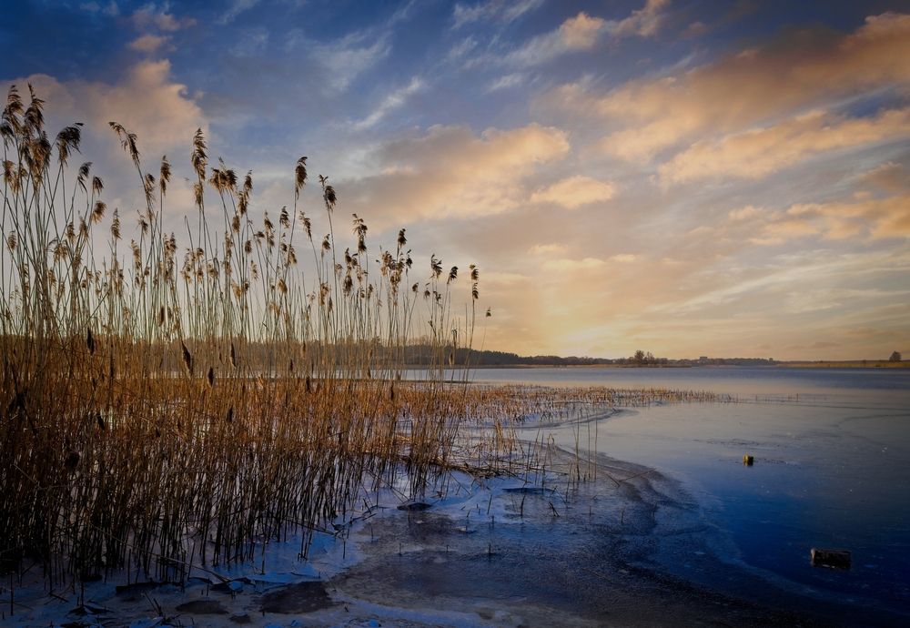 Фотография автора Vladimir Chu