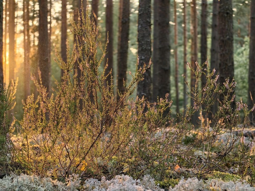 Photograph by Alexey Dmitriev