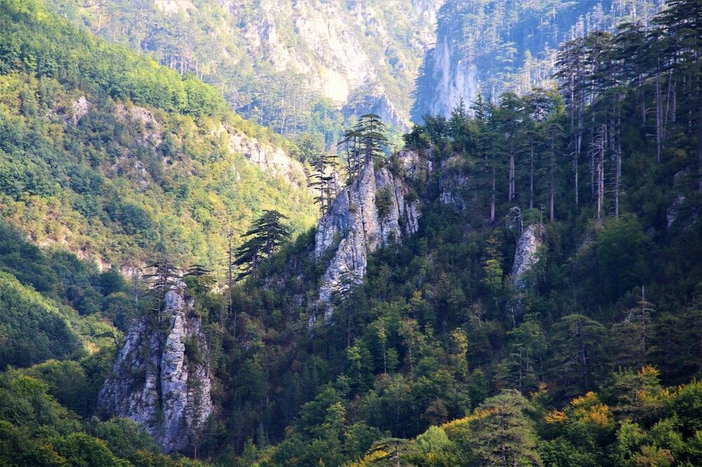 Photograph by Елена Кутукова