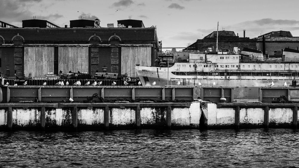 Photograph by Александр Евграфов