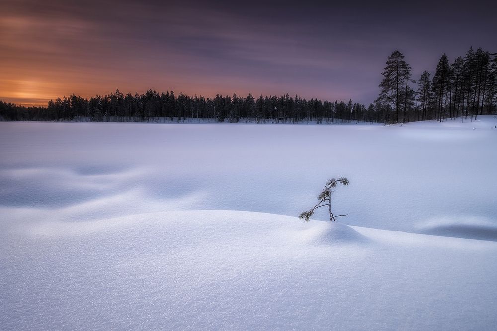 Photograph by Andrei Tratsiakou