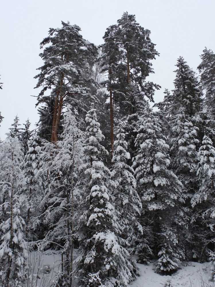 Photograph by Александр Шаварин