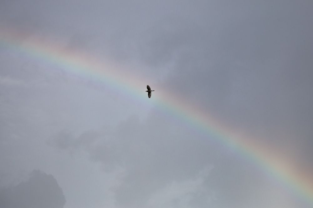 Photograph by Tatiana