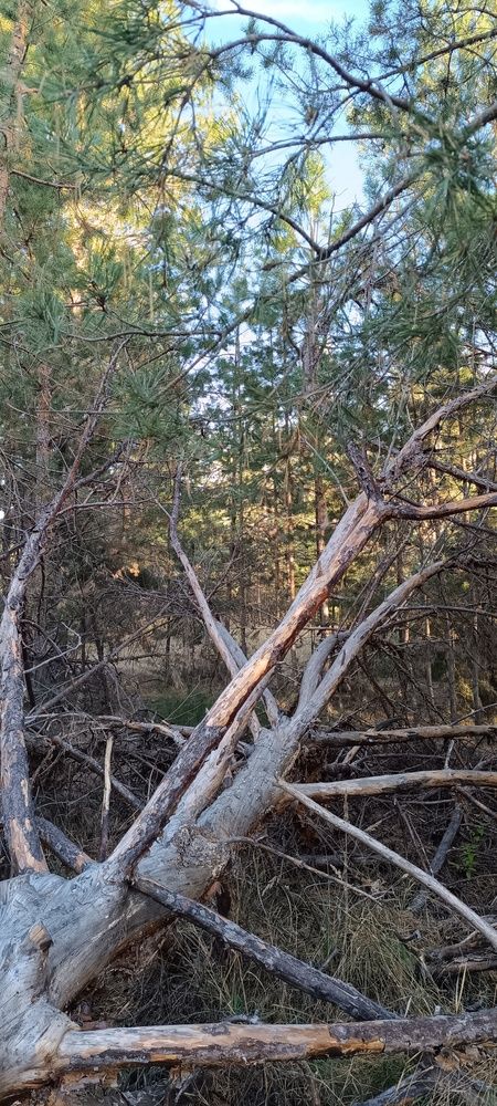 Photograph by Валентин Волк