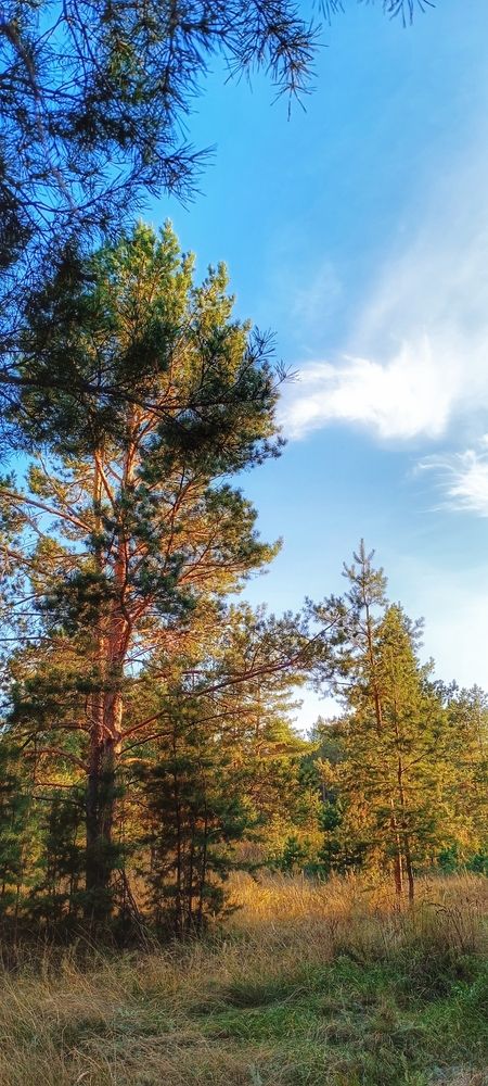 Photograph by Валентин Волк