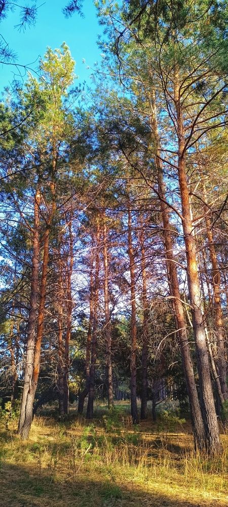 Photograph by Валентин Волк