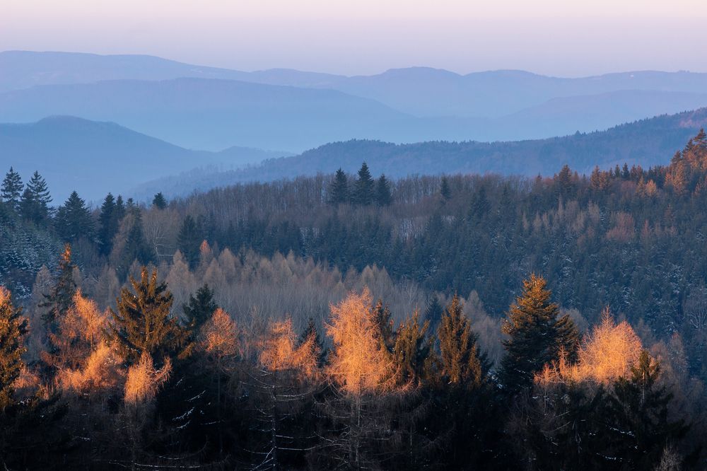 Photograph by Lukas Kulla