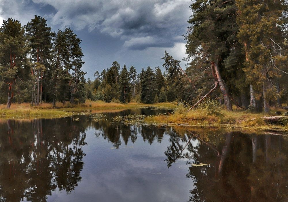 Фотография автора Юлия Сазанова
