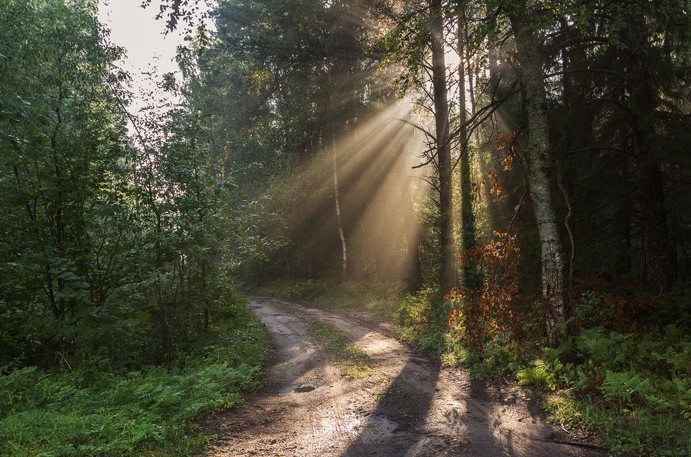 Photograph by Галина Юдина