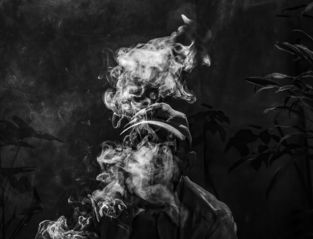 Фотография автора Alexis Arévalo Quesada