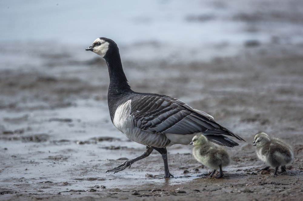 Photograph by Владислав Костылев