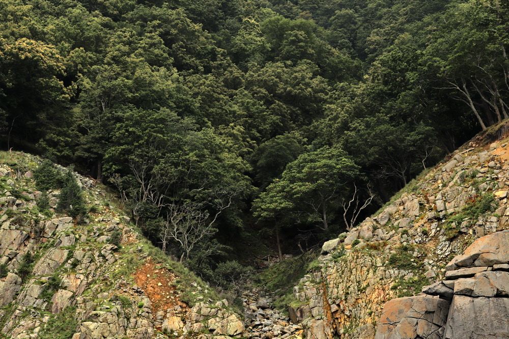 Photograph by Лада Денисова