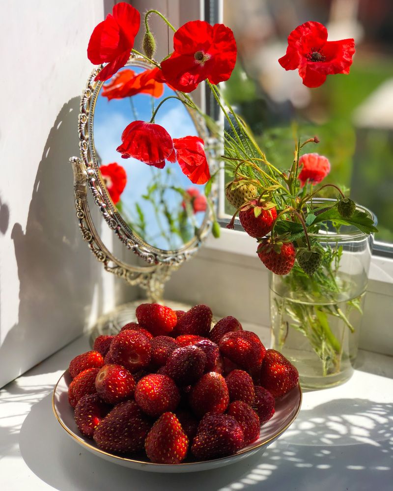 Photograph by Svetlana Tolkunova