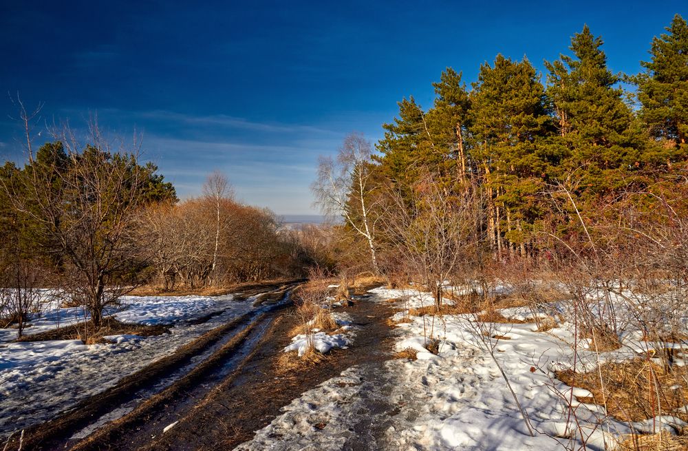 Photograph by Владимир Греков