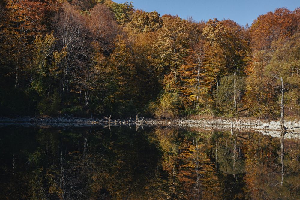 Photograph by Анна Демичева