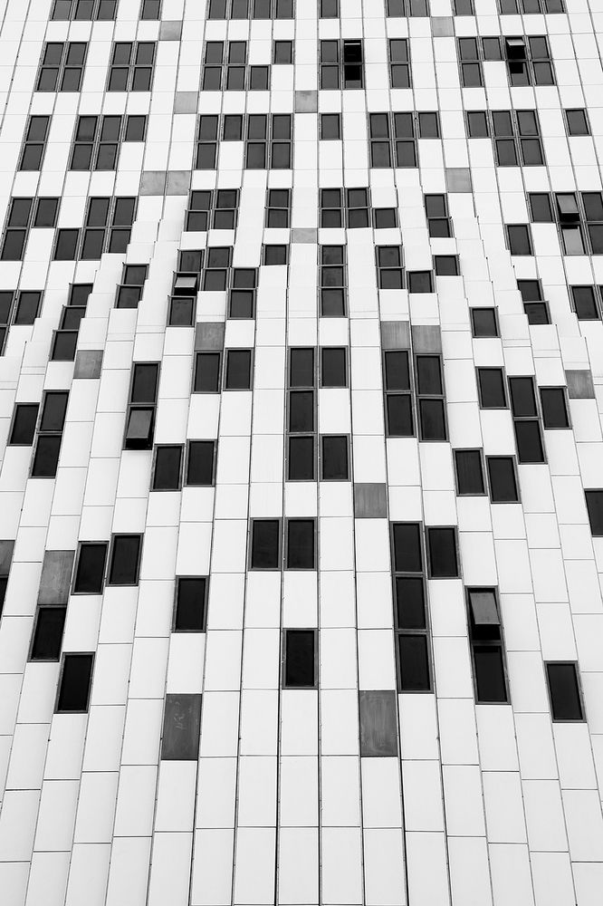 Photograph by Reyhane ajorloo