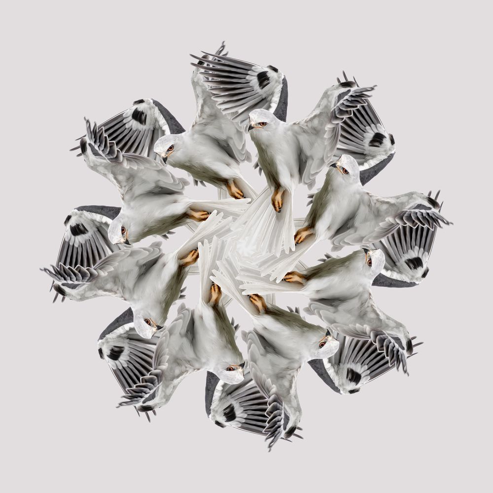 Photograph by Sandra De Bedout