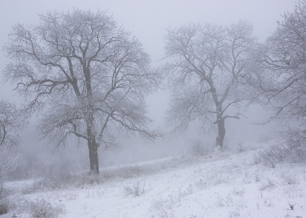 Photograph by Genadi Yakovlev