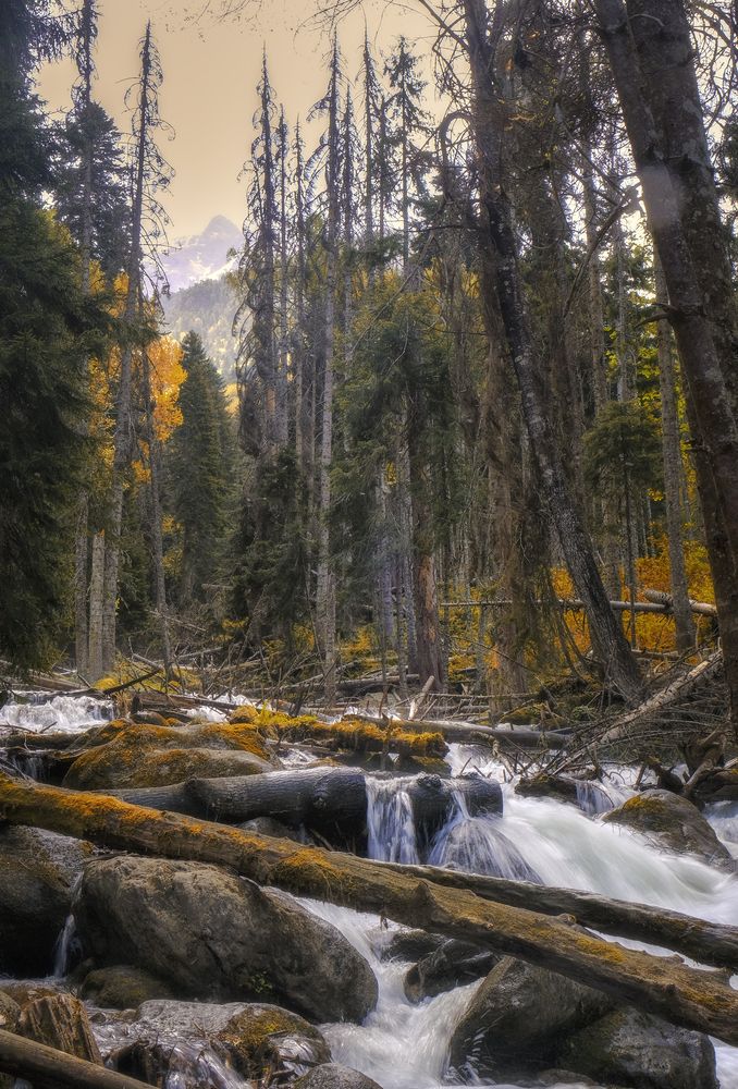 Photograph by Natalia Bolotenkova