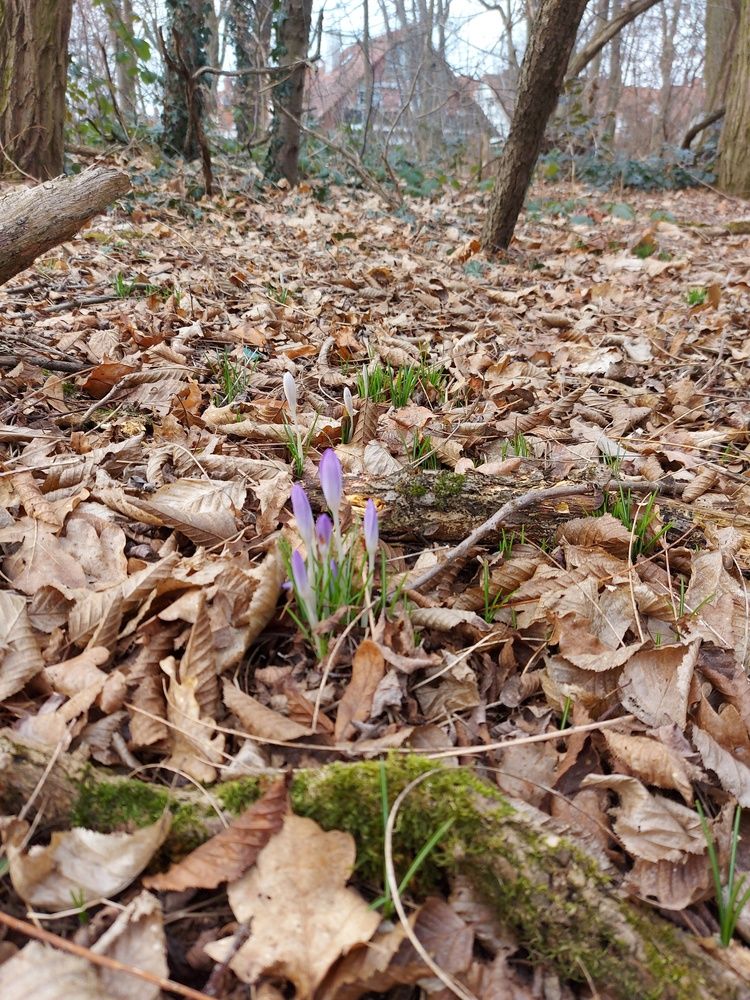 Photograph by Yurii Tofan