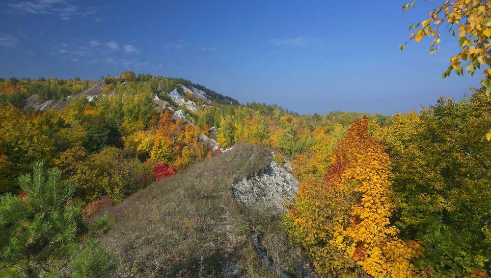 Осенний лес в Жигулях