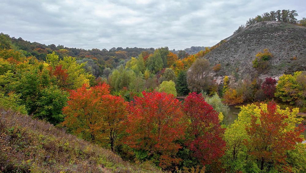 Осенний лес в Жигулях