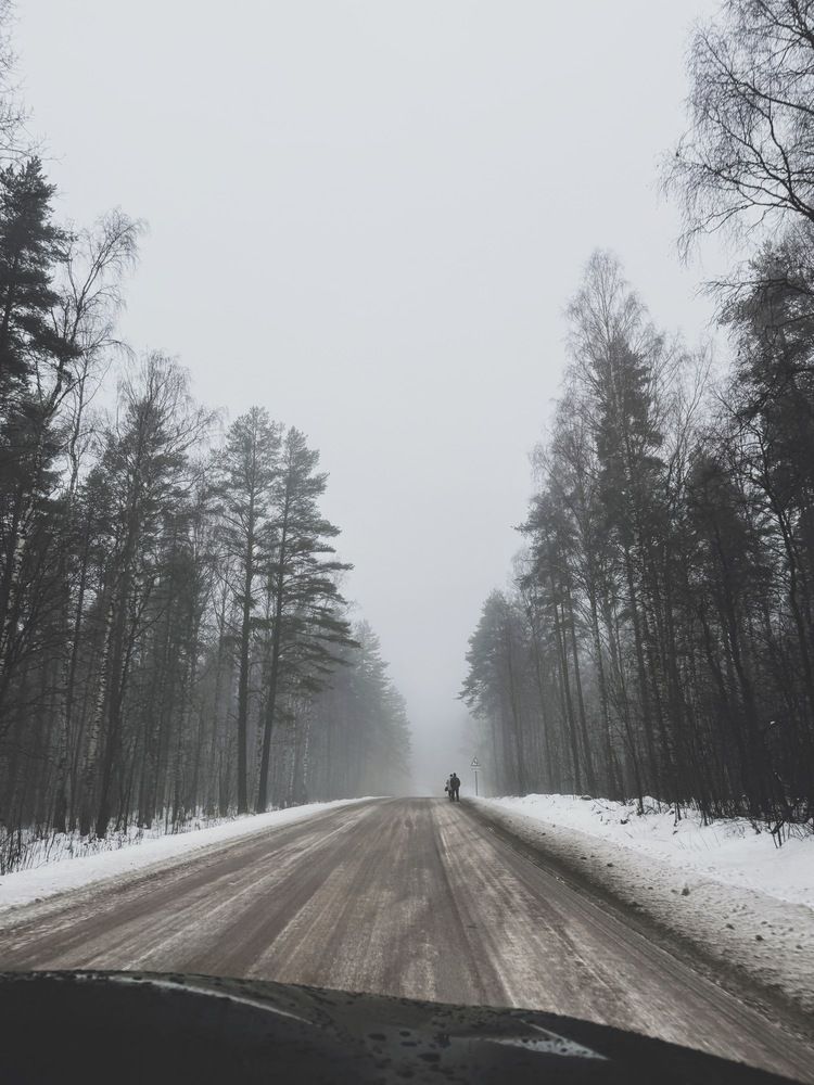 Photograph by Анастасия